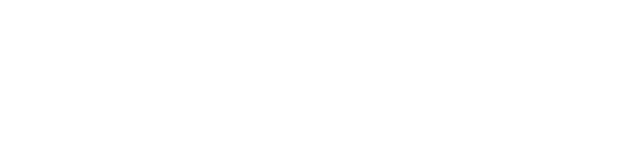 Zurnal logo